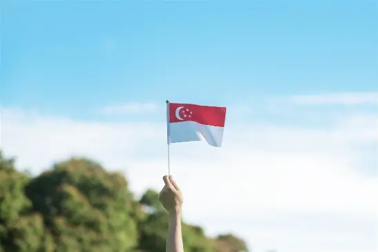 Singapore Standards
